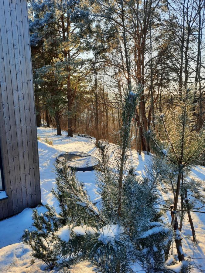 Tiny Hemp House Holiday home
